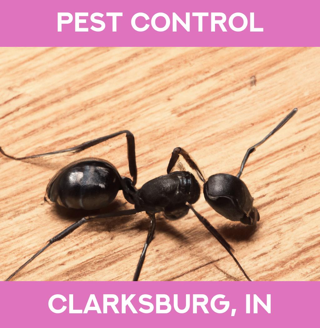 pest control in Clarksburg Indiana