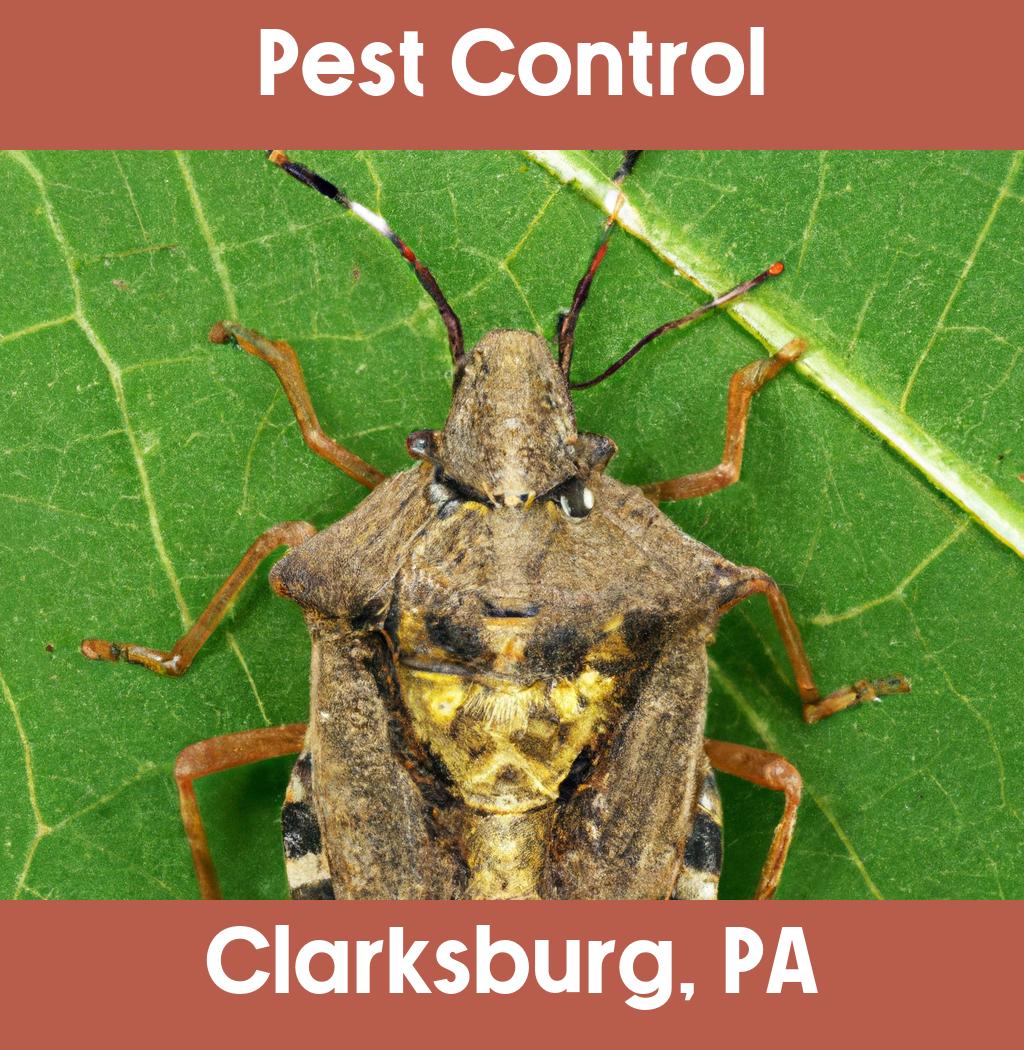 pest control in Clarksburg Pennsylvania