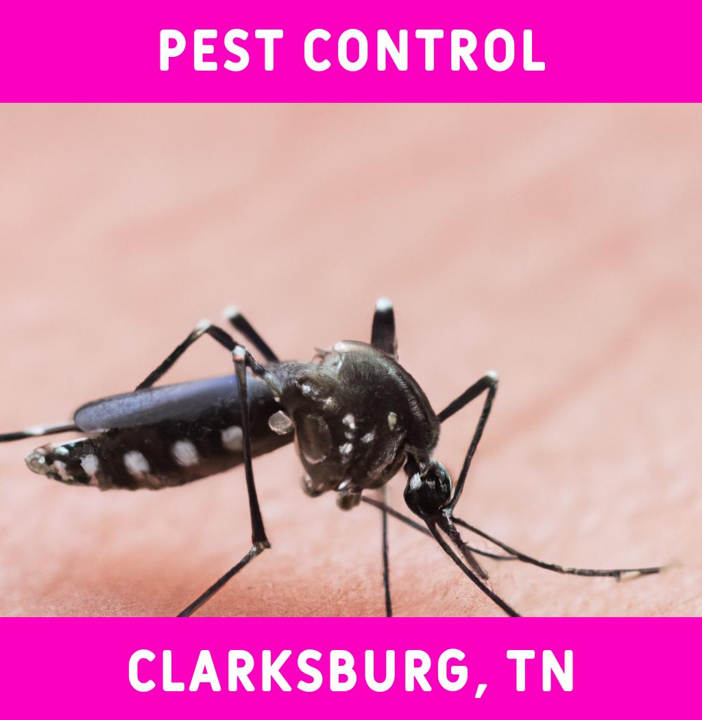 pest control in Clarksburg Tennessee
