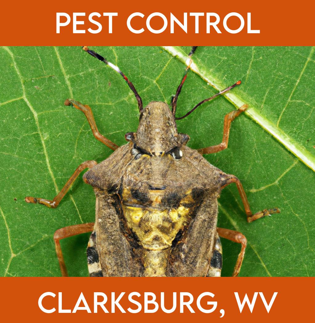pest control in Clarksburg West Virginia