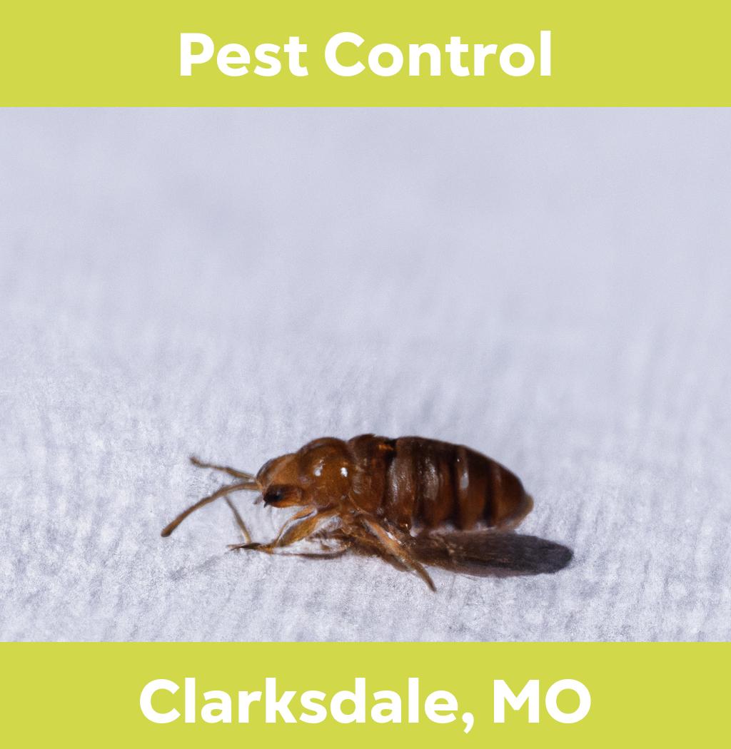 pest control in Clarksdale Missouri