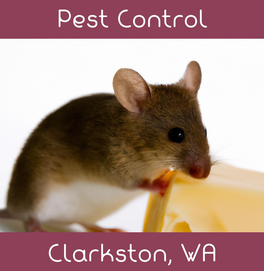 pest control in Clarkston Washington