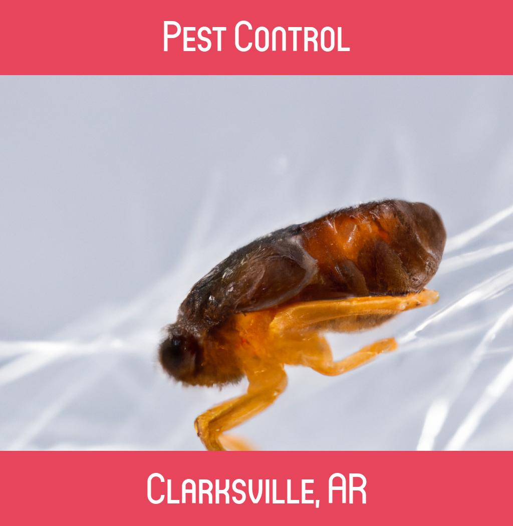 pest control in Clarksville Arkansas