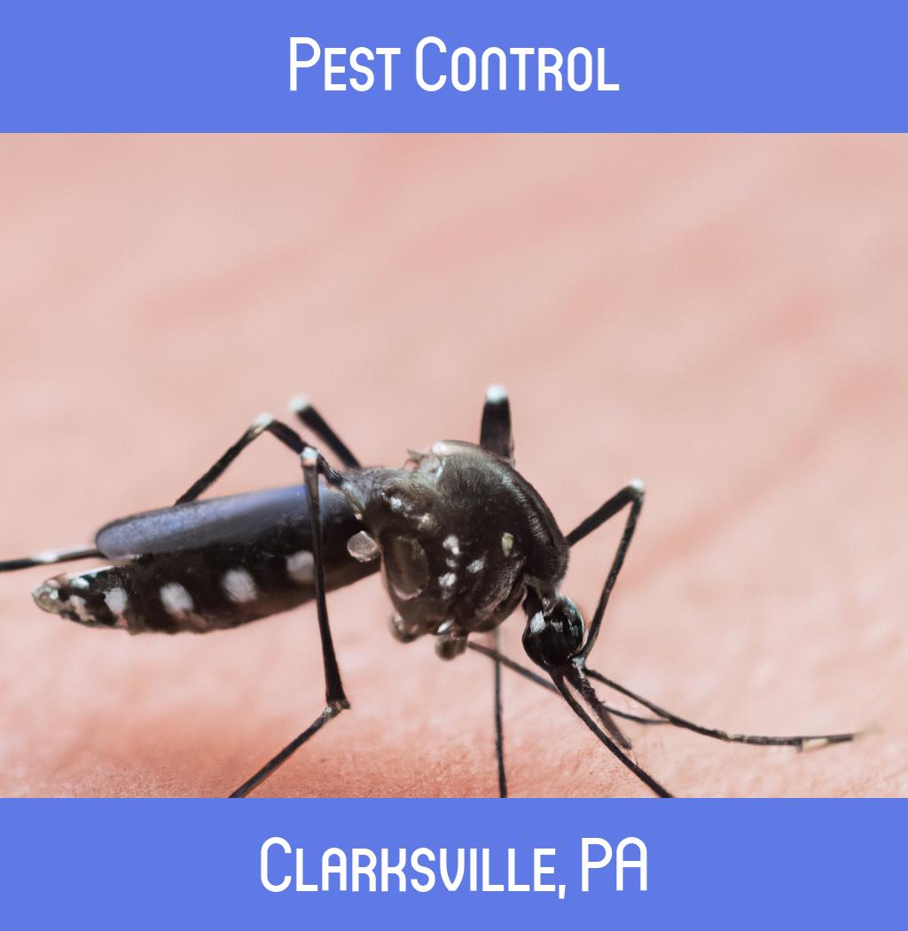pest control in Clarksville Pennsylvania
