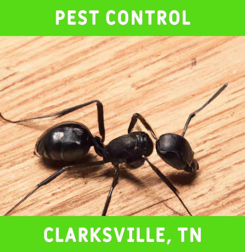 pest control in Clarksville Tennessee
