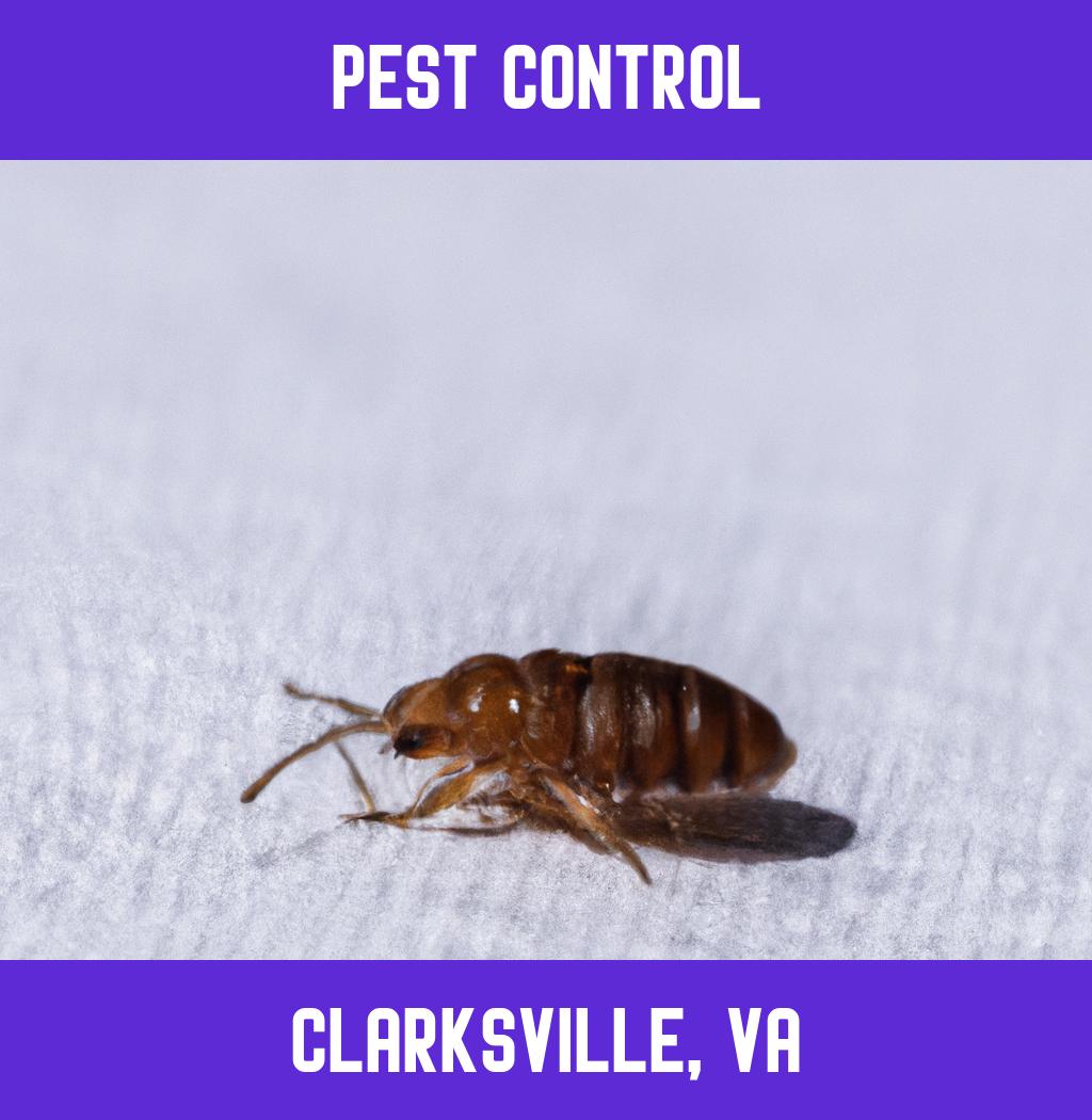 pest control in Clarksville Virginia