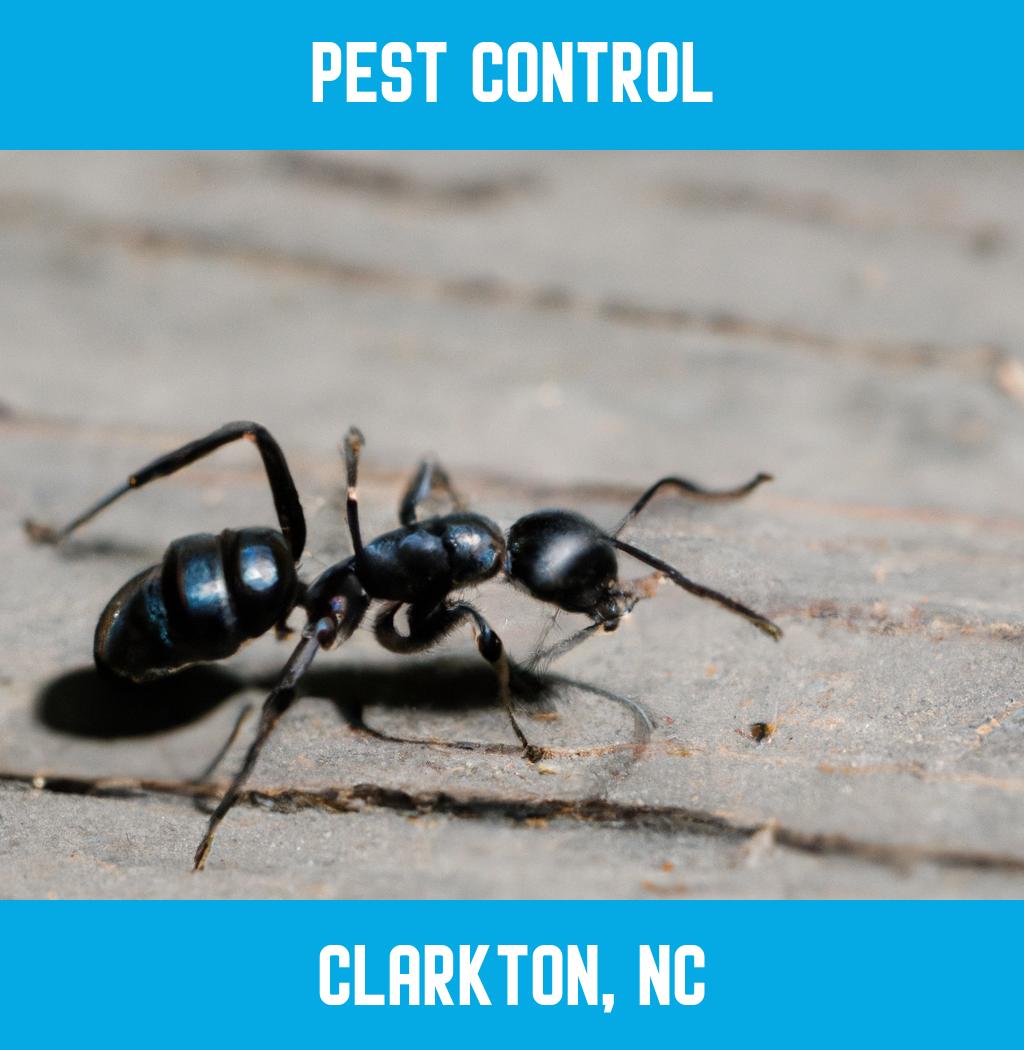 pest control in Clarkton North Carolina