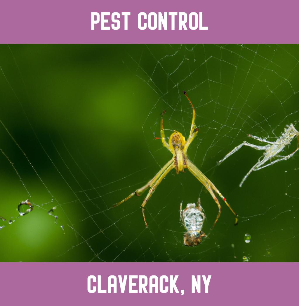 pest control in Claverack New York