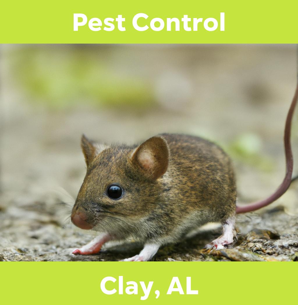 pest control in Clay Alabama