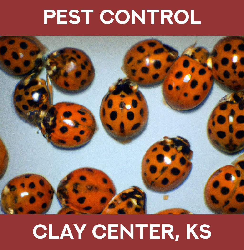 pest control in Clay Center Kansas