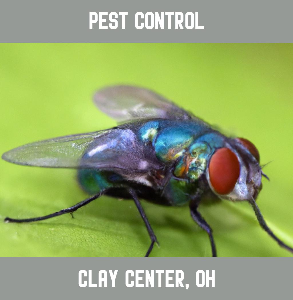 pest control in Clay Center Ohio