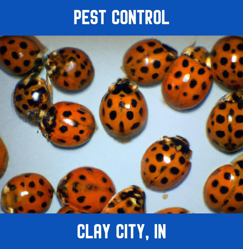 pest control in Clay City Indiana