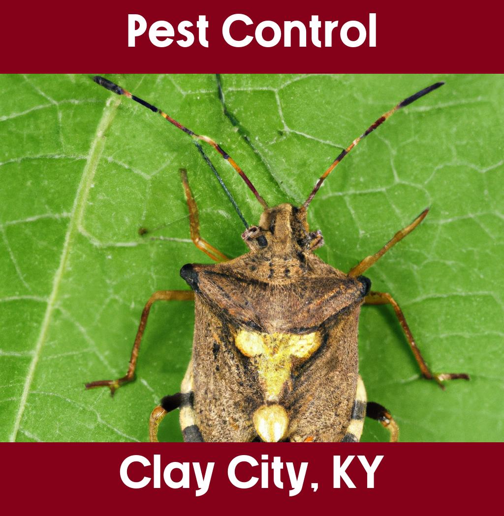 pest control in Clay City Kentucky