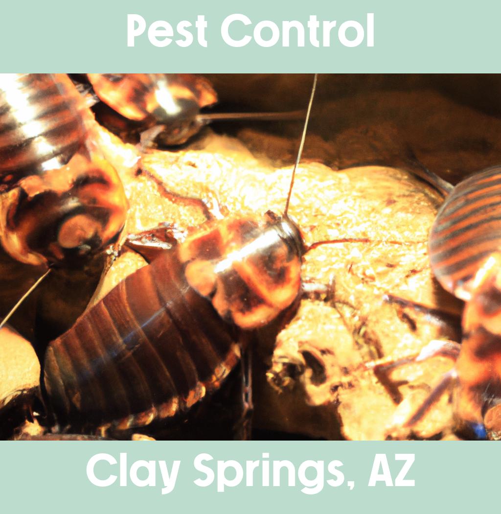 pest control in Clay Springs Arizona