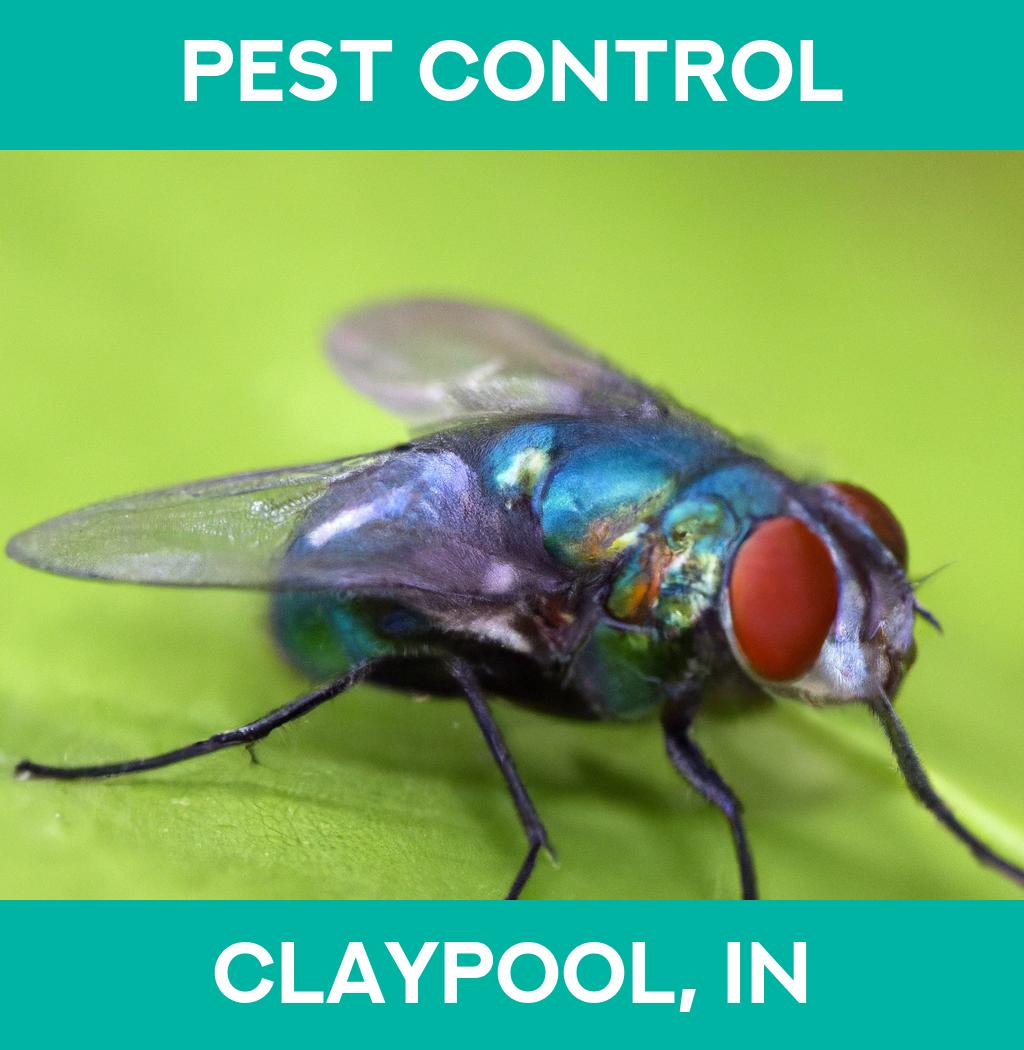 pest control in Claypool Indiana