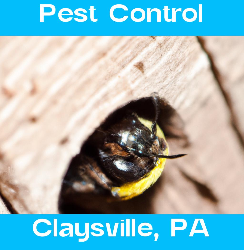 pest control in Claysville Pennsylvania