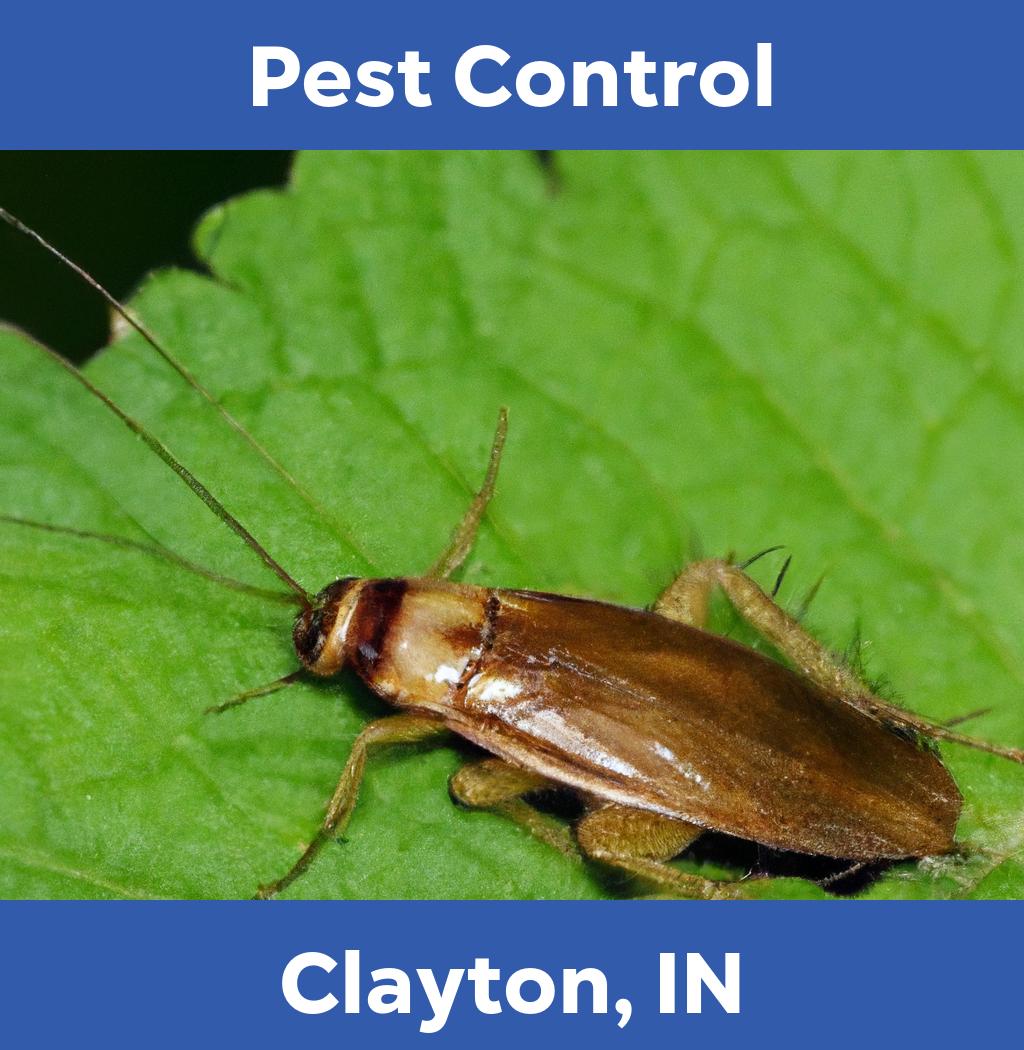 pest control in Clayton Indiana