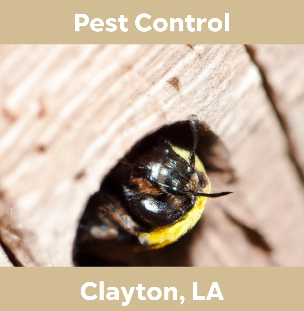 pest control in Clayton Louisiana
