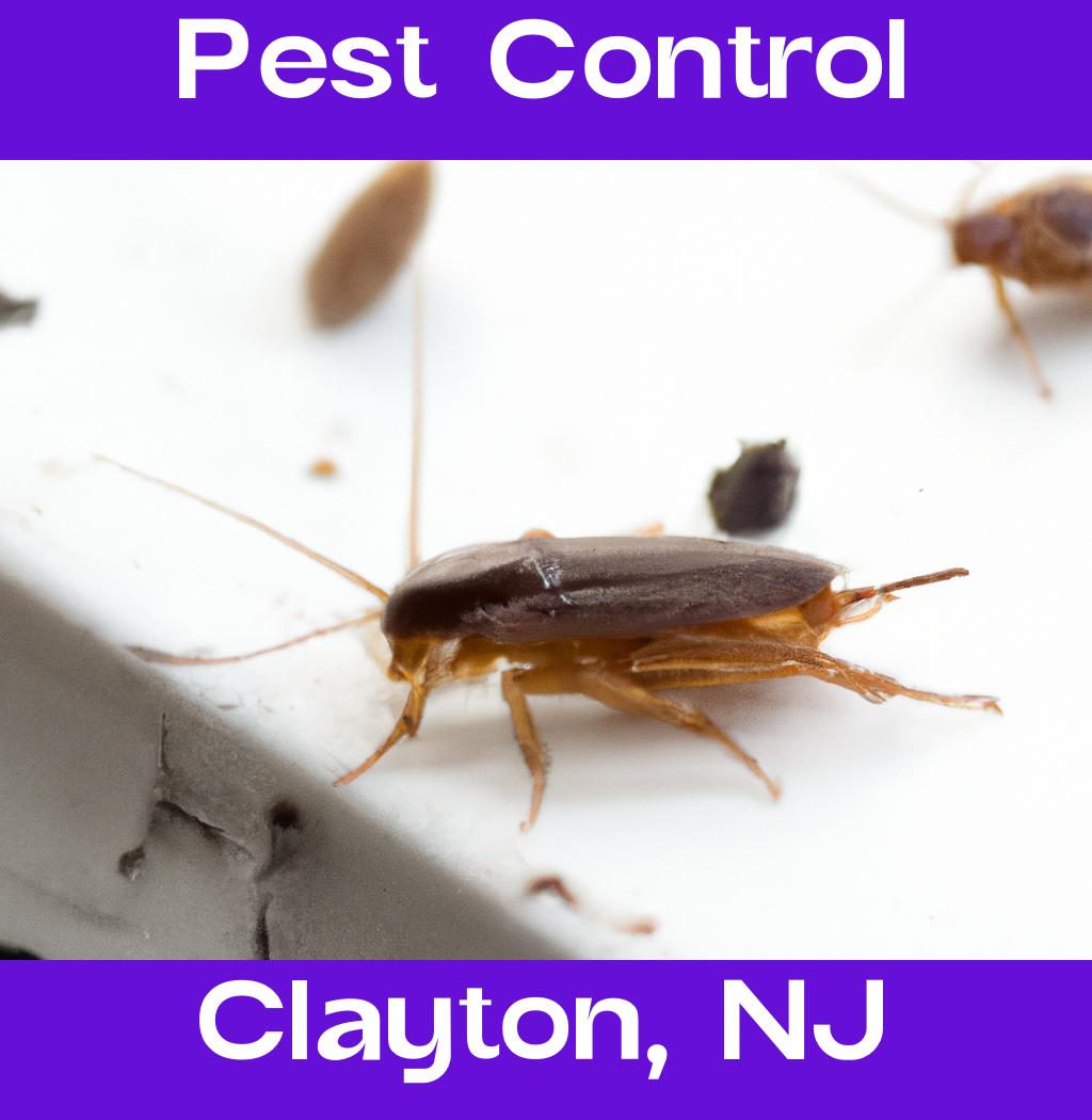 pest control in Clayton New Jersey