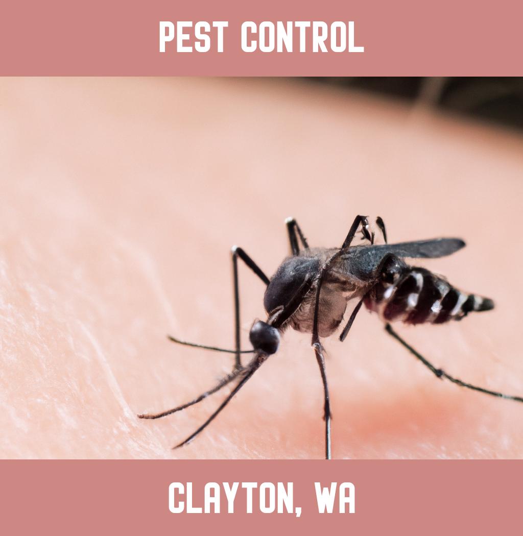 pest control in Clayton Washington