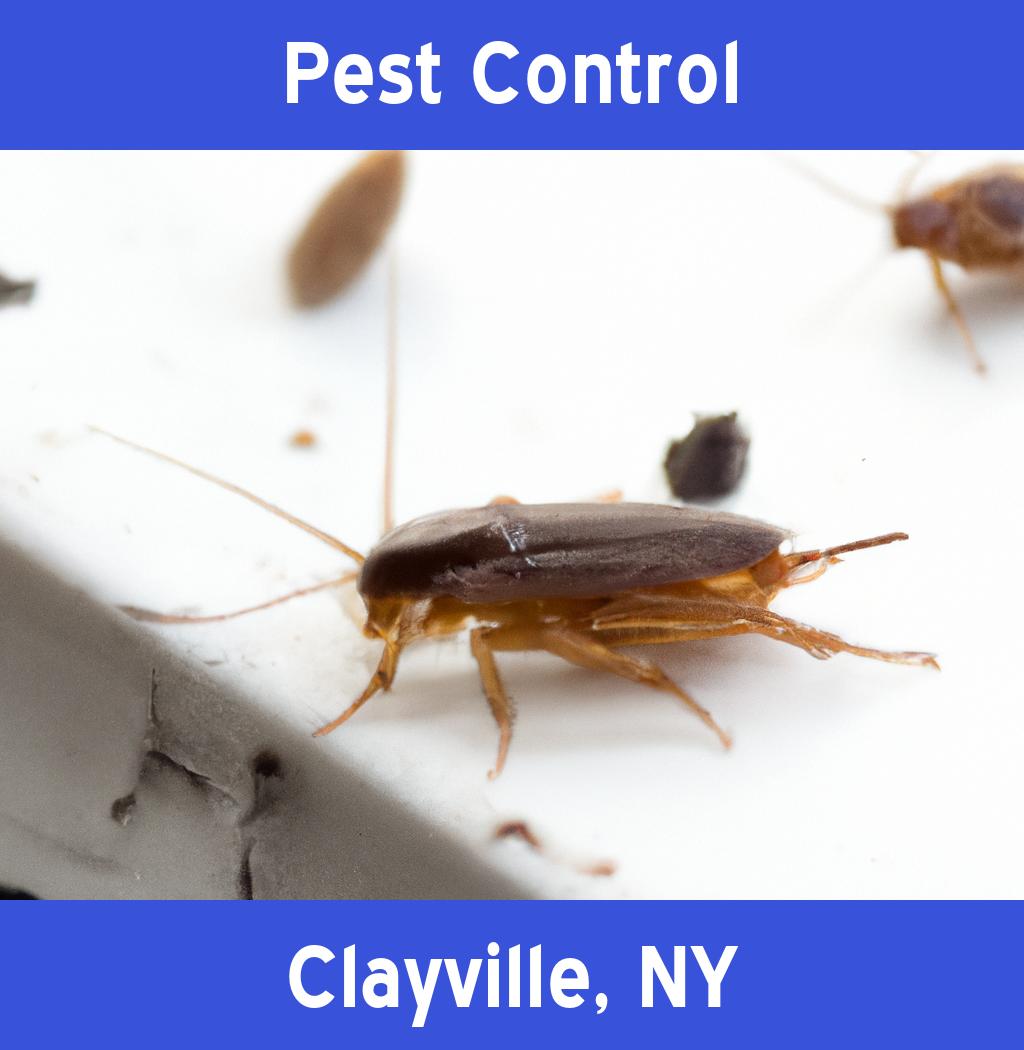 pest control in Clayville New York