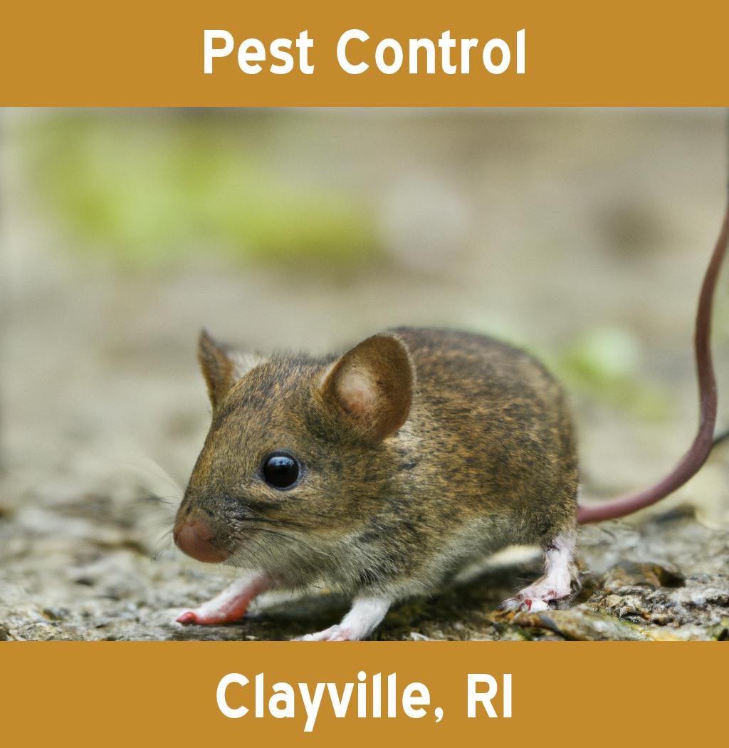 pest control in Clayville Rhode Island