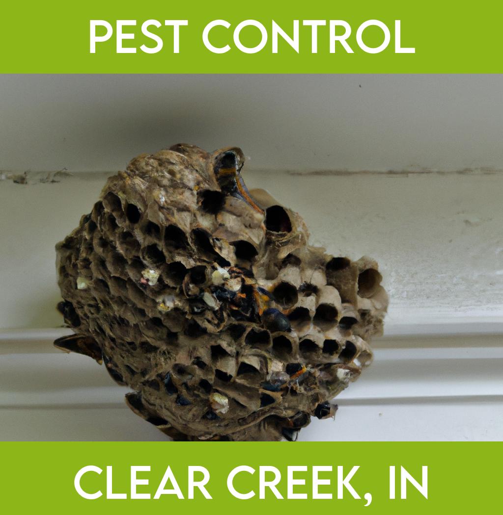 pest control in Clear Creek Indiana