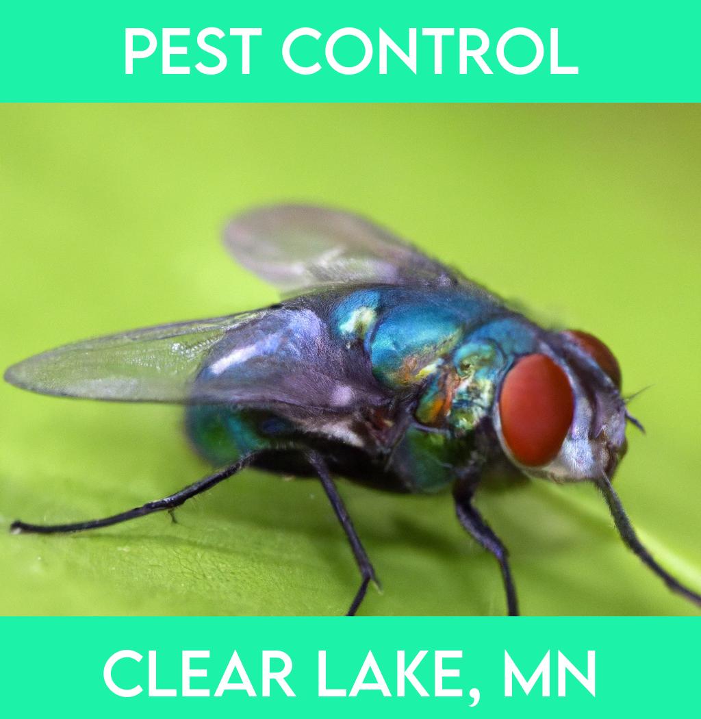 pest control in Clear Lake Minnesota