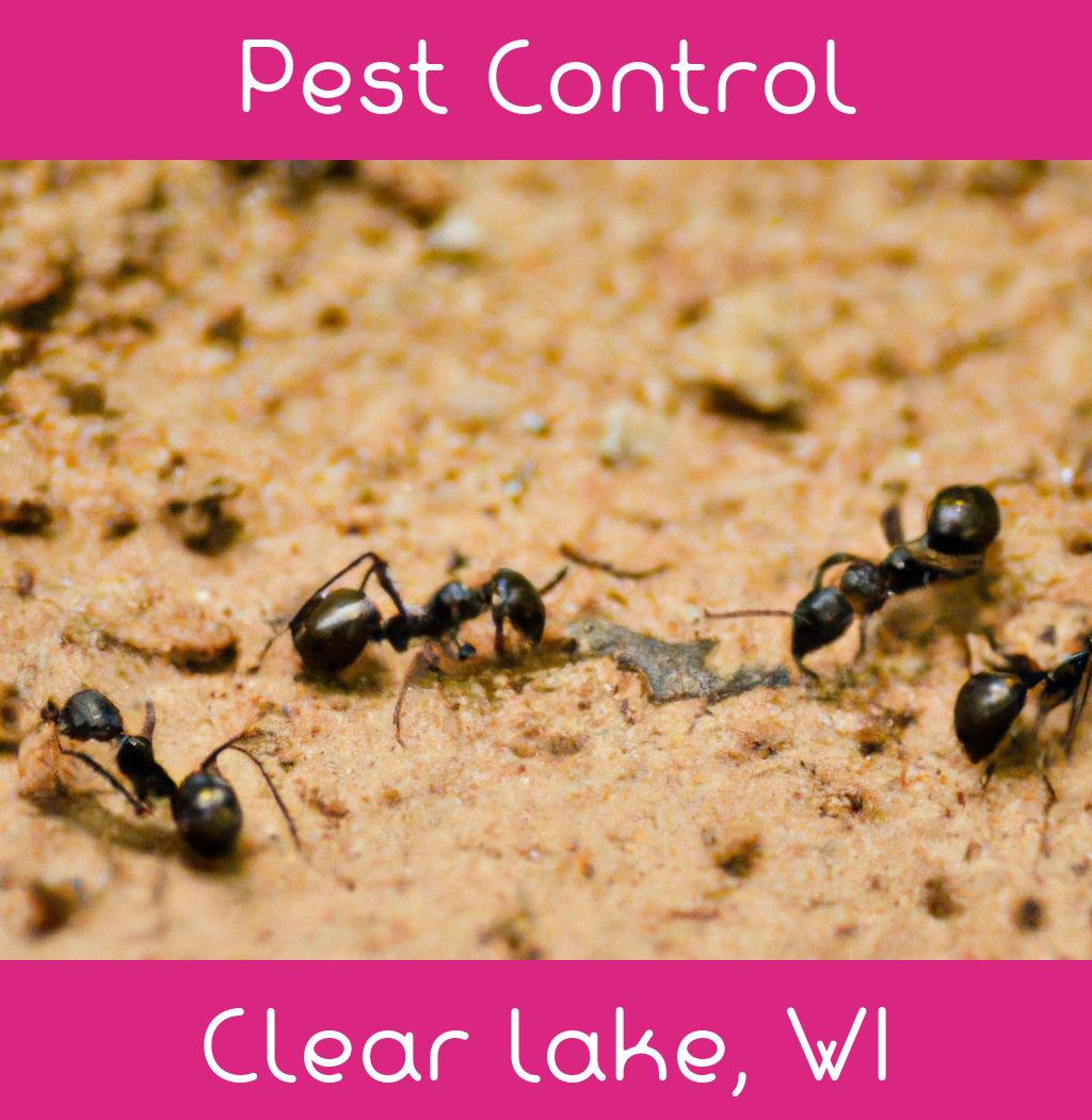 pest control in Clear Lake Wisconsin