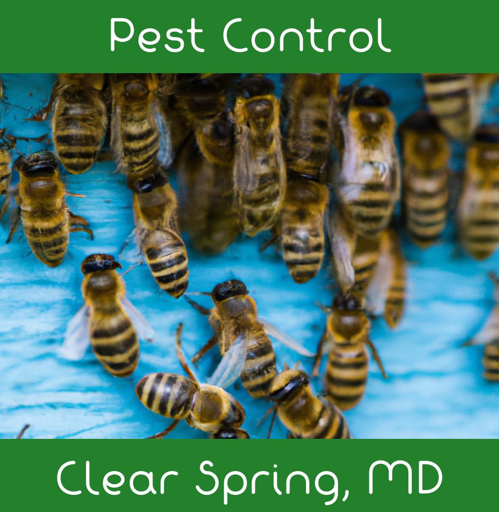 pest control in Clear Spring Maryland