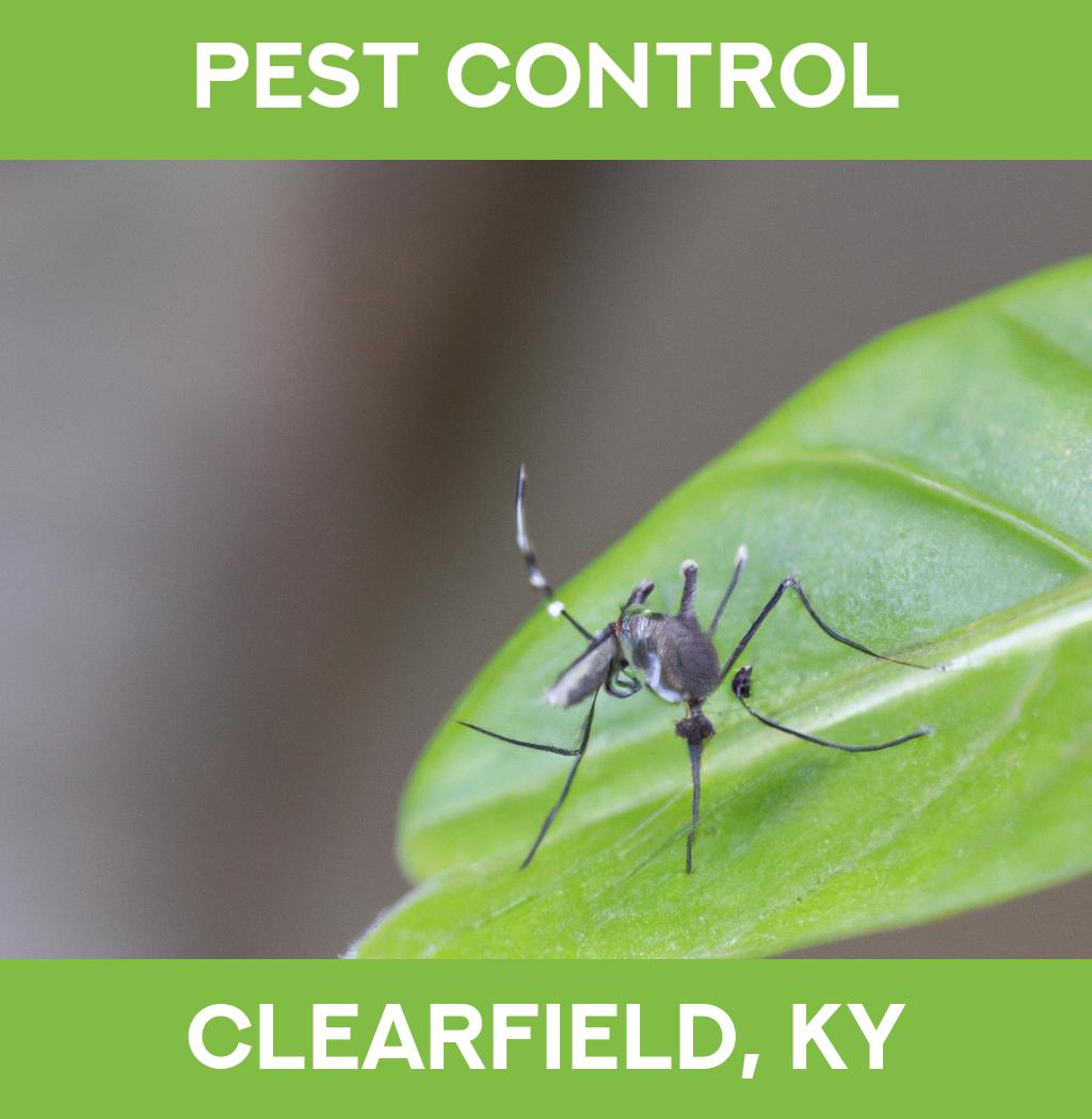 pest control in Clearfield Kentucky