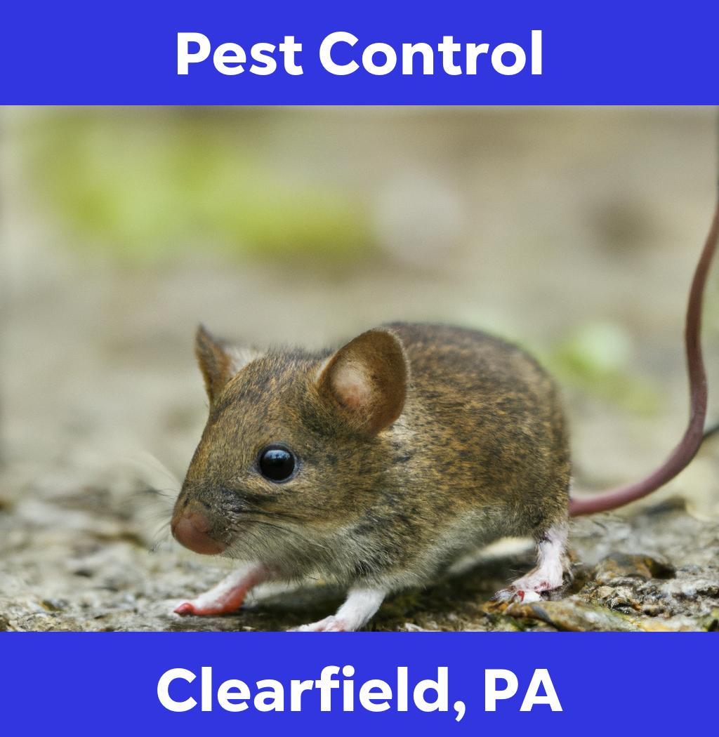 pest control in Clearfield Pennsylvania