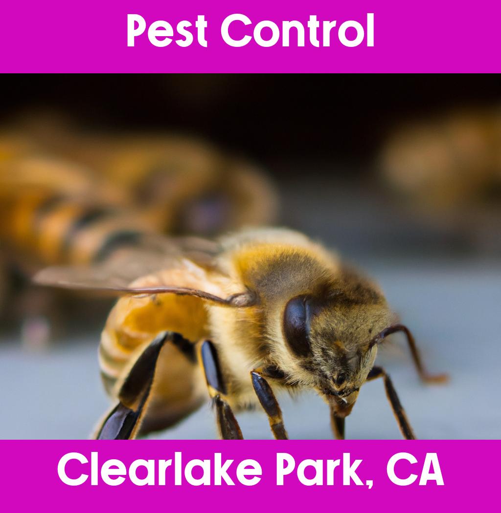 pest control in Clearlake Park California