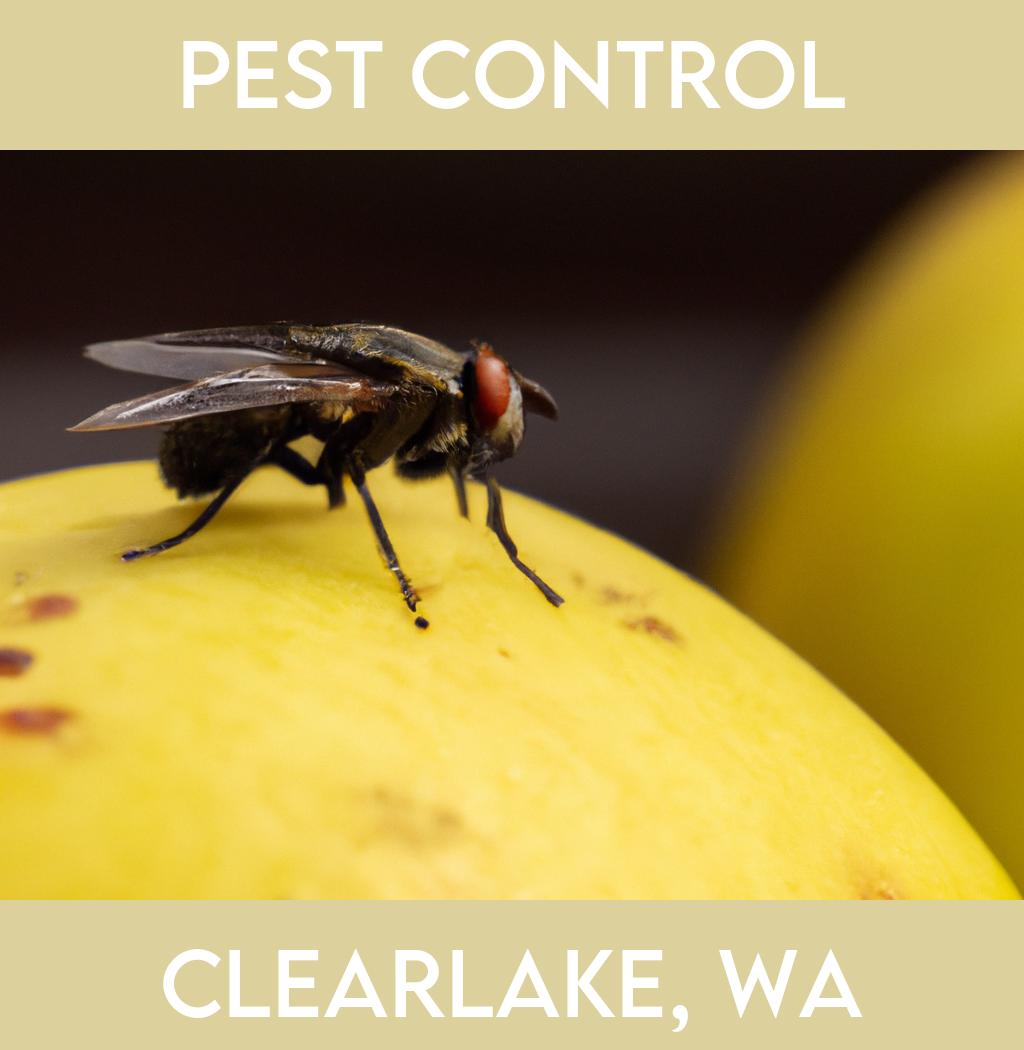 pest control in Clearlake Washington