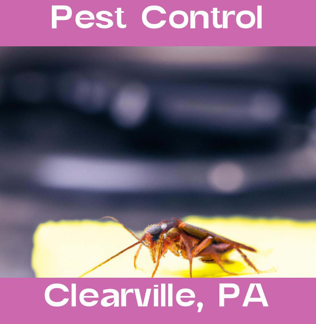 pest control in Clearville Pennsylvania