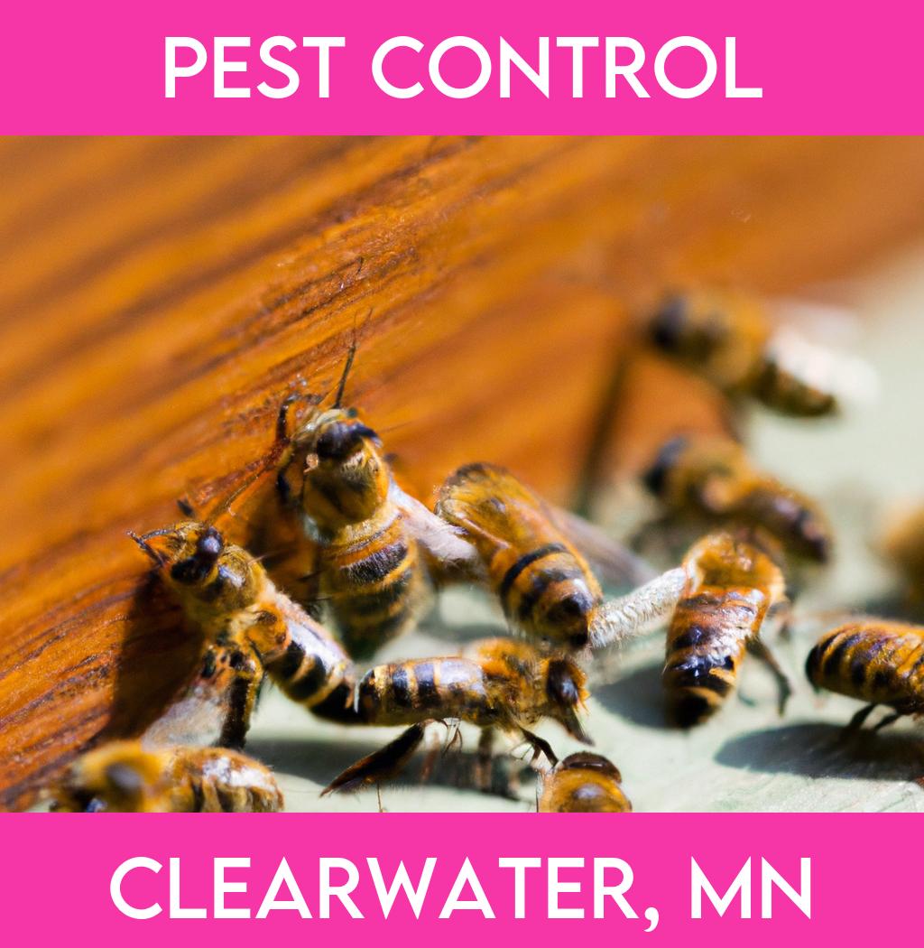 pest control in Clearwater Minnesota