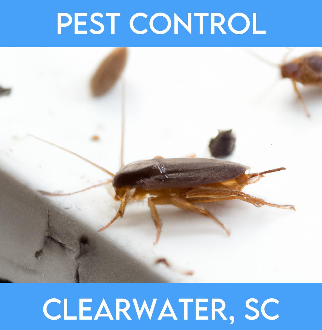 pest control in Clearwater South Carolina