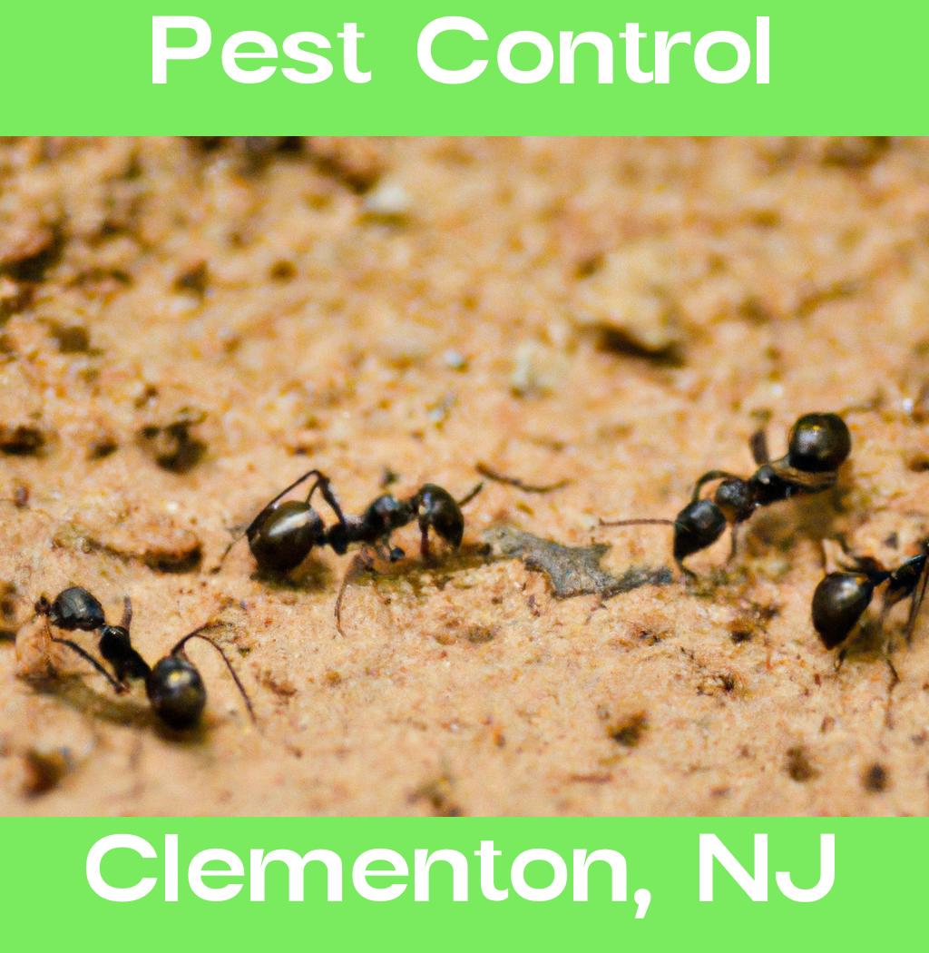 pest control in Clementon New Jersey