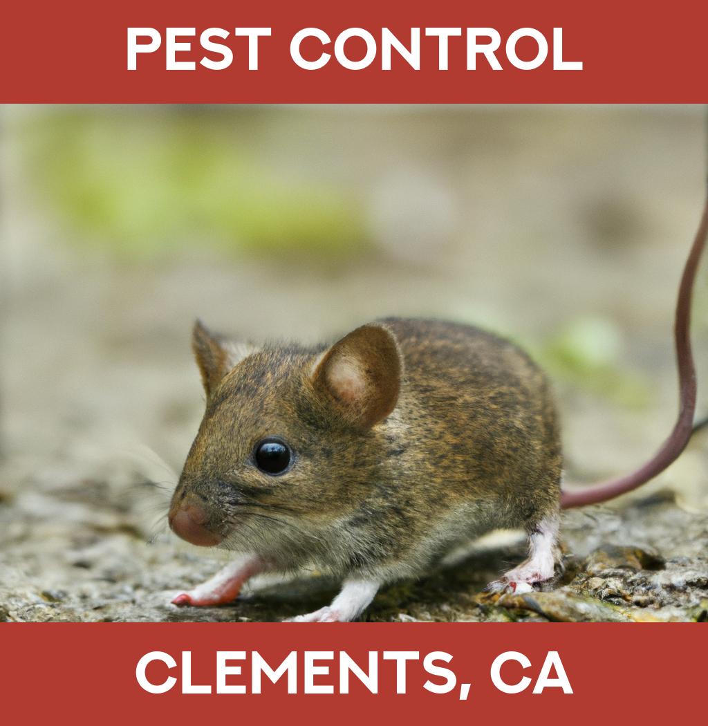 pest control in Clements California