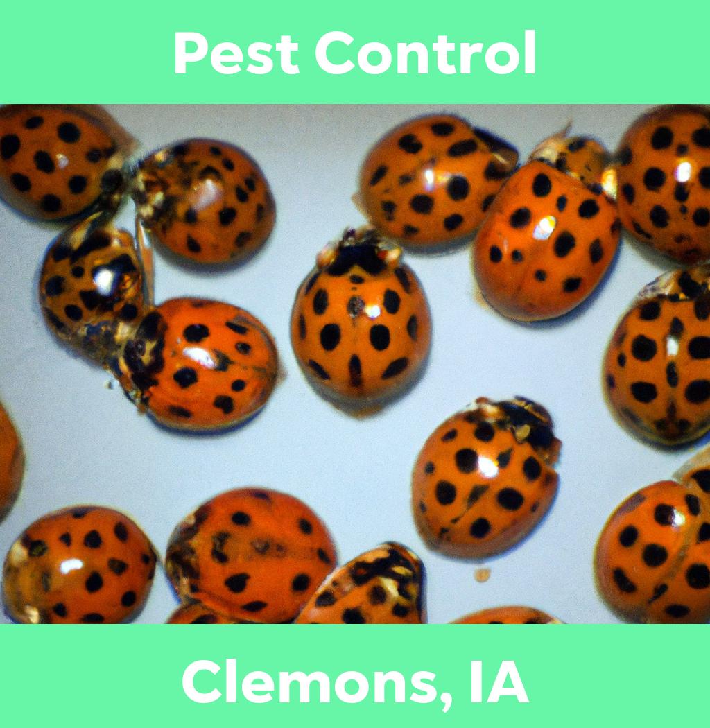 pest control in Clemons Iowa