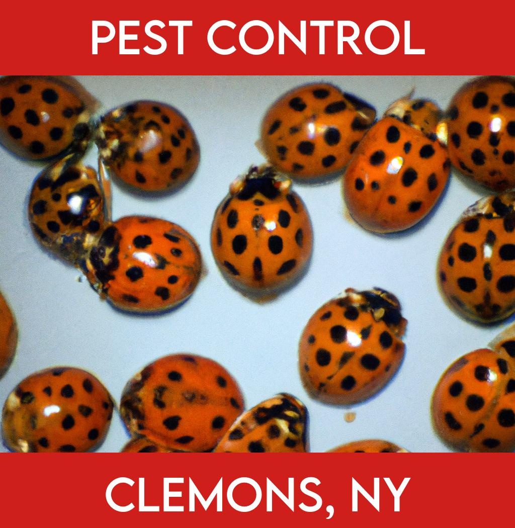 pest control in Clemons New York