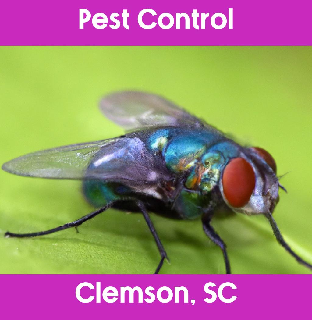 pest control in Clemson South Carolina