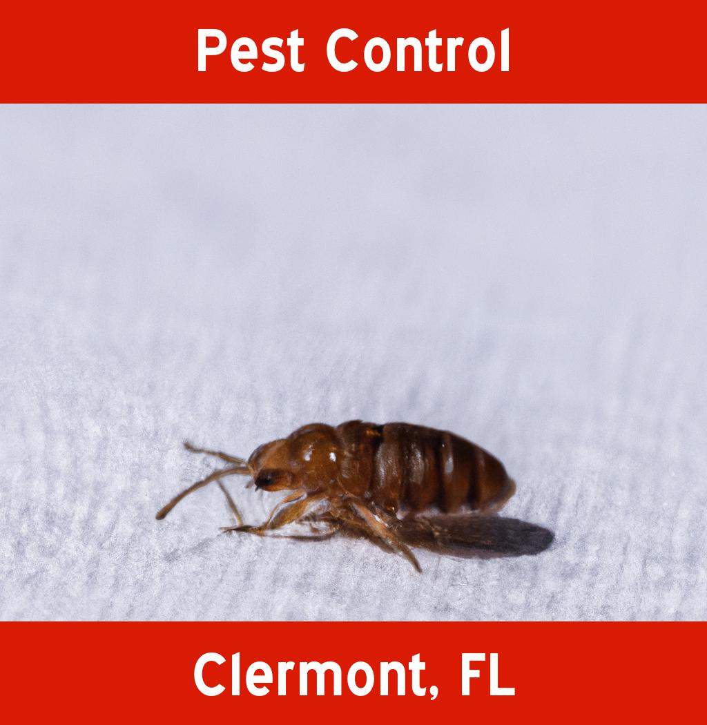 pest control in Clermont Florida