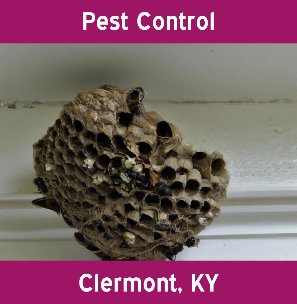 pest control in Clermont Kentucky