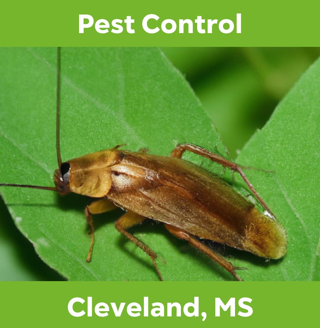 pest control in Cleveland Mississippi