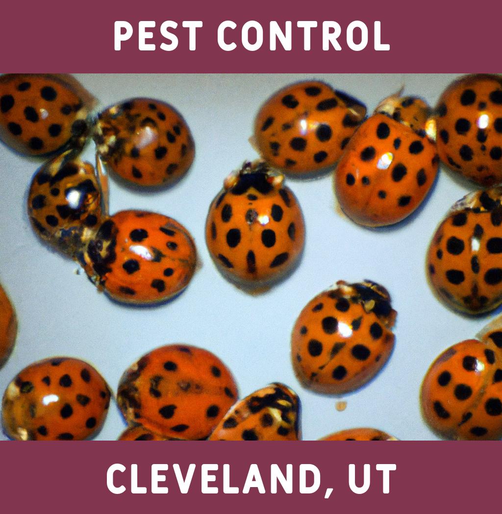 pest control in Cleveland Utah