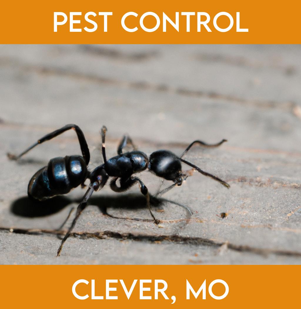 pest control in Clever Missouri