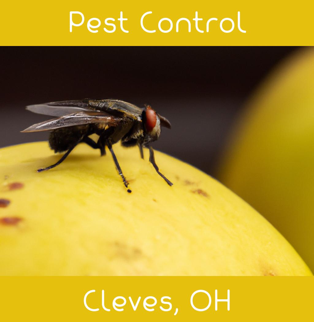 pest control in Cleves Ohio