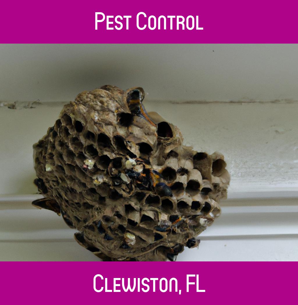 pest control in Clewiston Florida