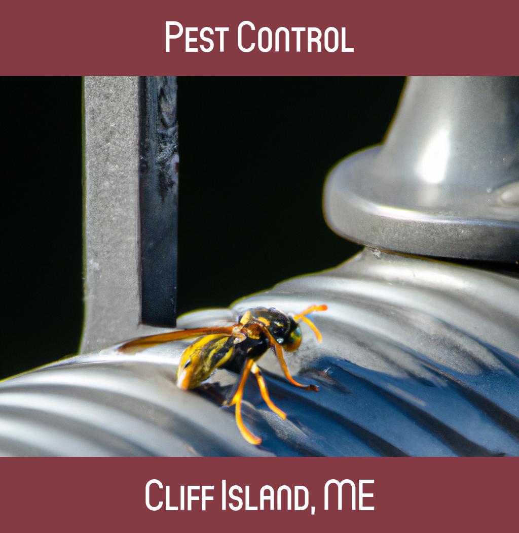 pest control in Cliff Island Maine